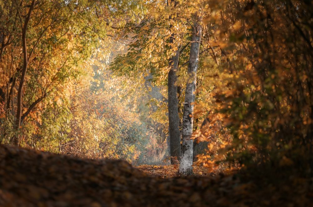 Photograph by Мозжухин Максим