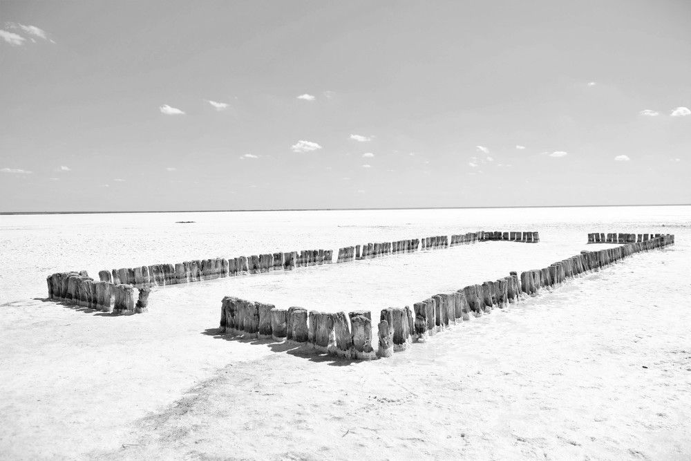 Photograph by Лебедев Олег