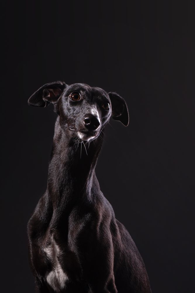 Photograph by наталья залогина