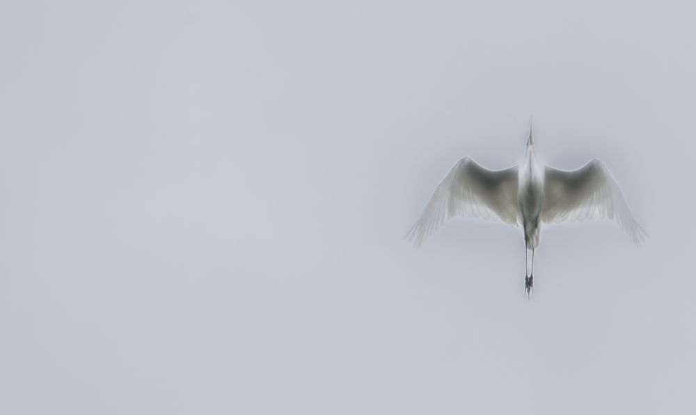 Photograph by Анна Чадова