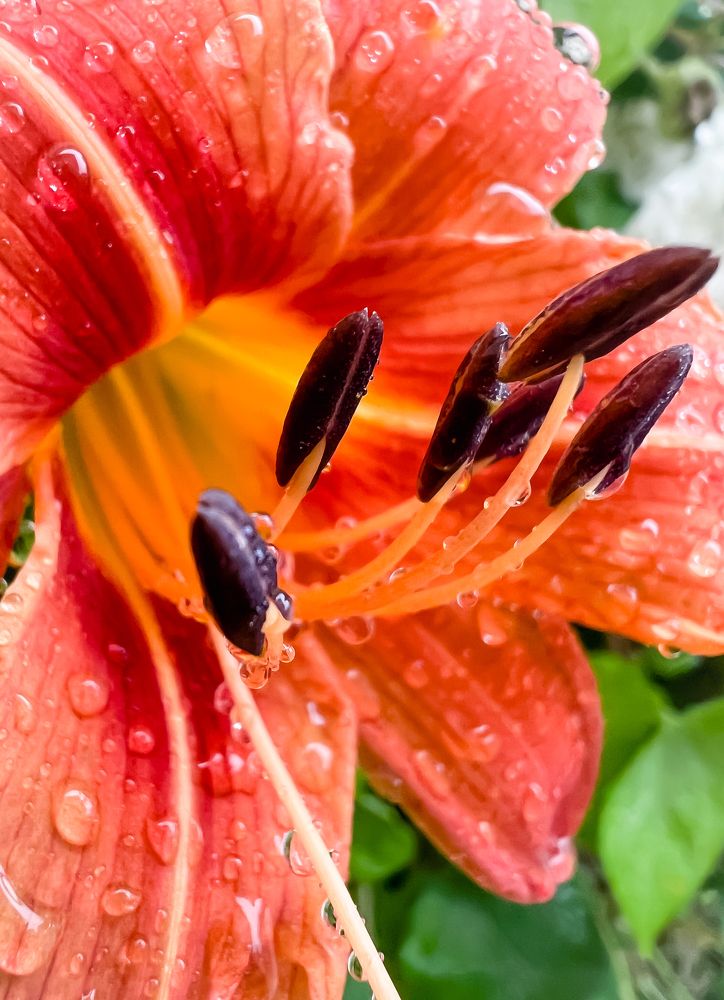 Photograph by Маргарита Малкова