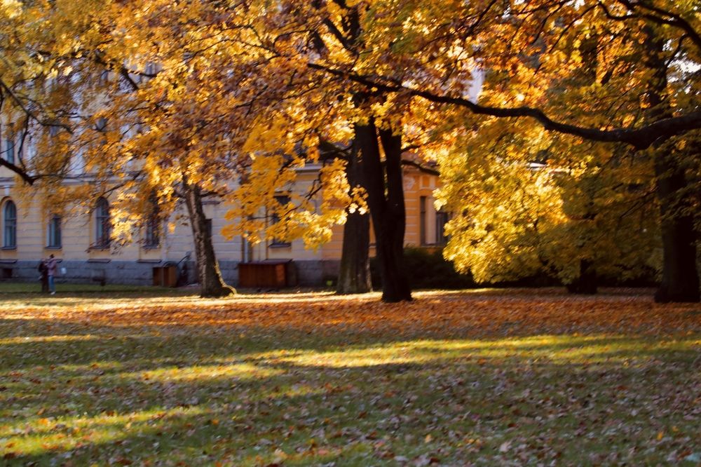 Photograph by Елена Ковалева