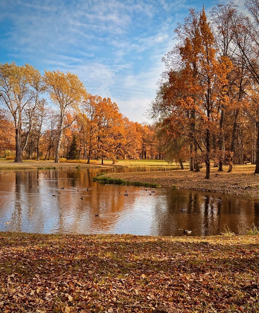 Photograph by Елена Ковалева