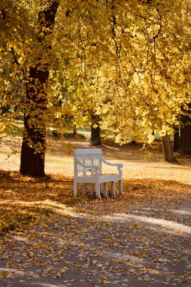 Photograph by Елена Ковалева