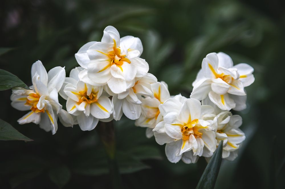 Photograph by Светлана Гущина