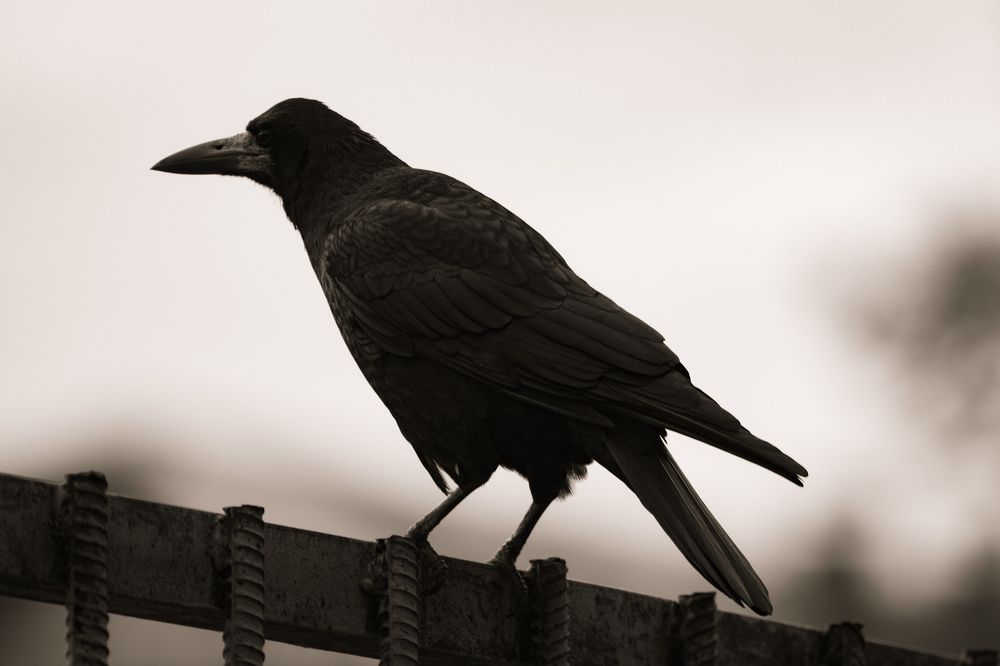 Photograph by Вася Кадочников