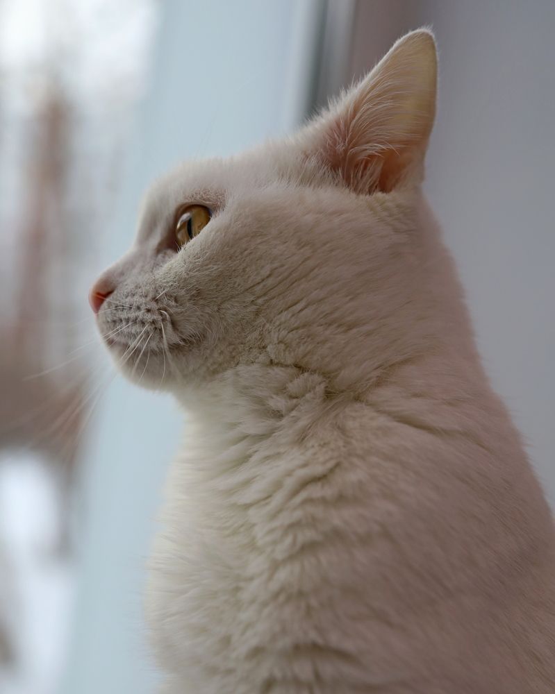 Photograph by Наталья Адалинская