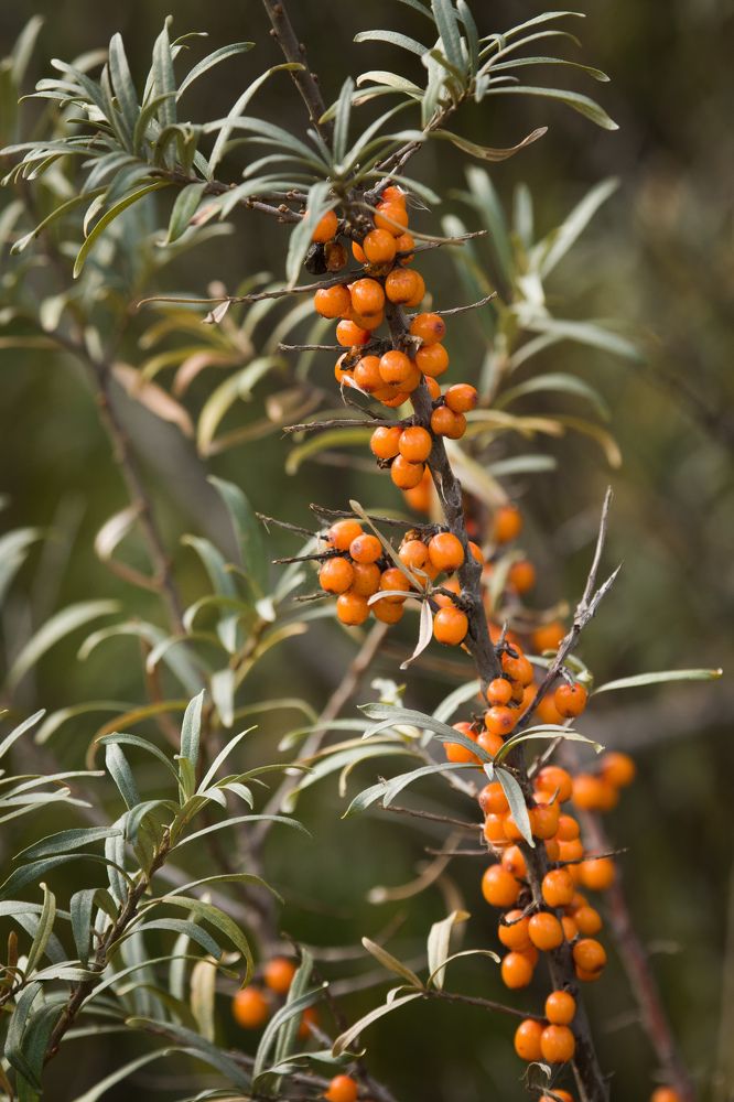 Photograph by Вася Кадочников