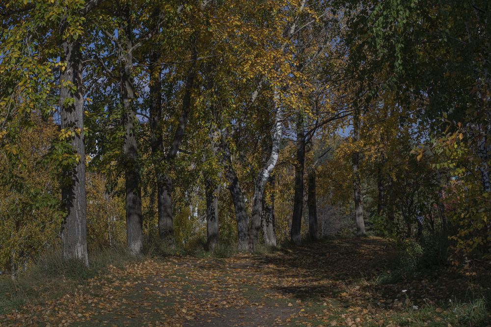 Photograph by Светлана Тарханова