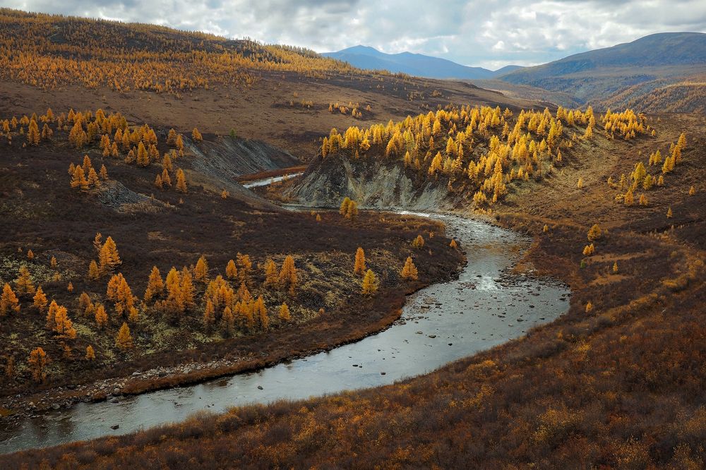 Photograph by Александр Попов