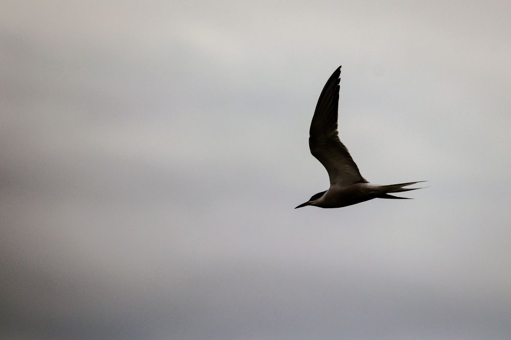 Photograph by Вася Кадочников