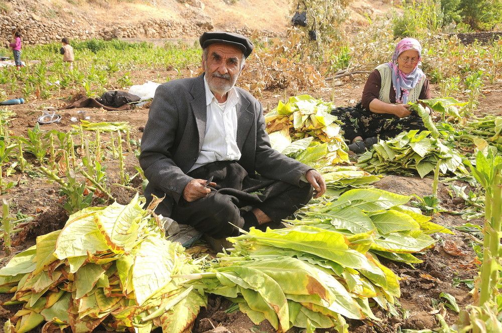 Photograph by Şeyhmus Çakırtaş