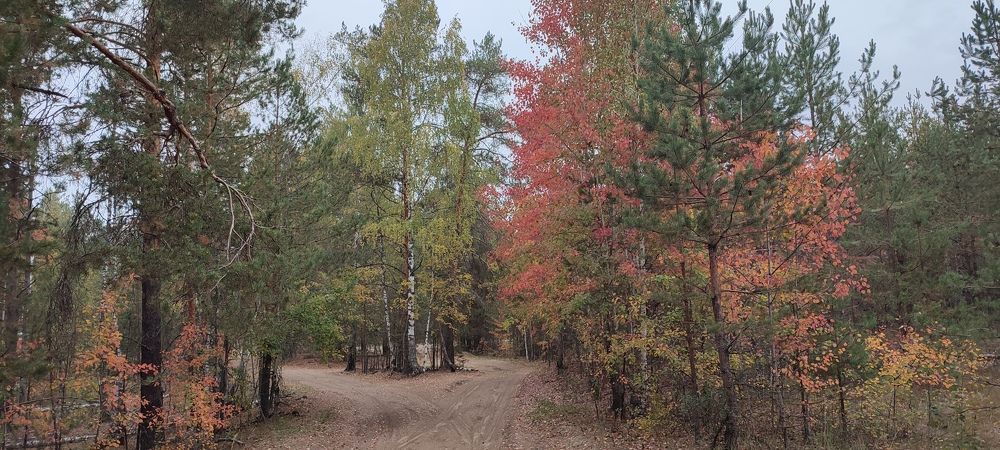 Photograph by Светлана Батурова