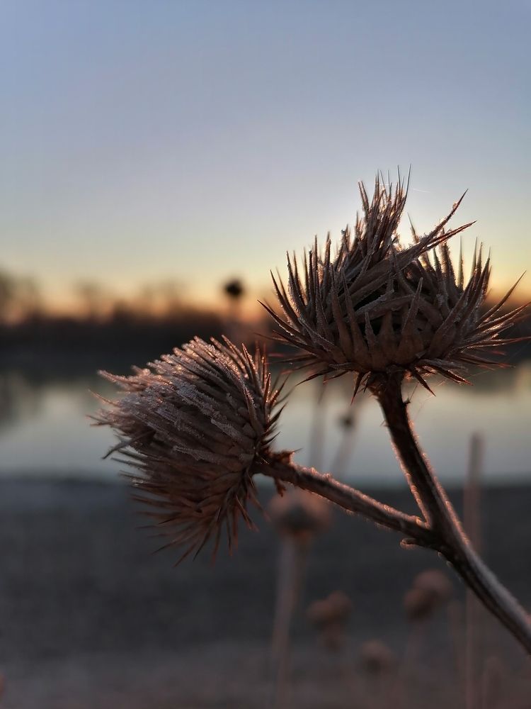 Photograph by Ирина Адлер