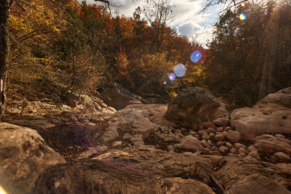 Photograph by Anna D.