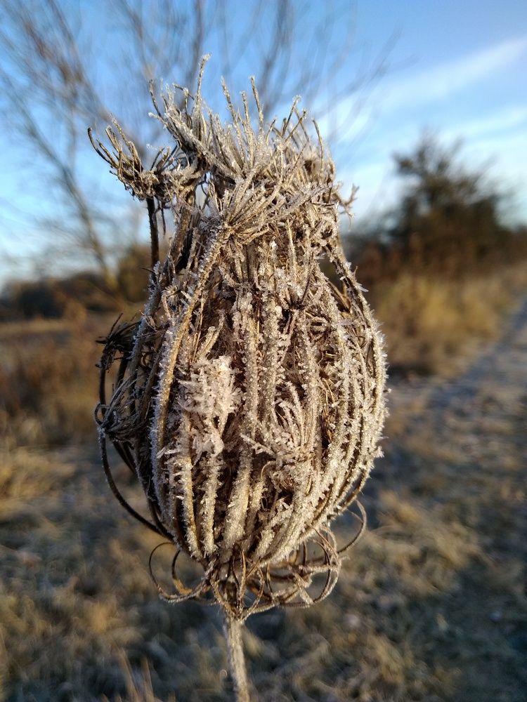 Photograph by Ирина Адлер