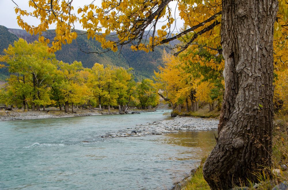 Фотография автора Сергей Королёв