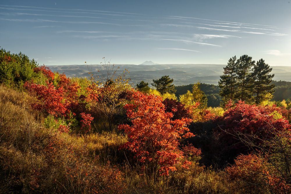 Фотография автора Zakharov Armen
