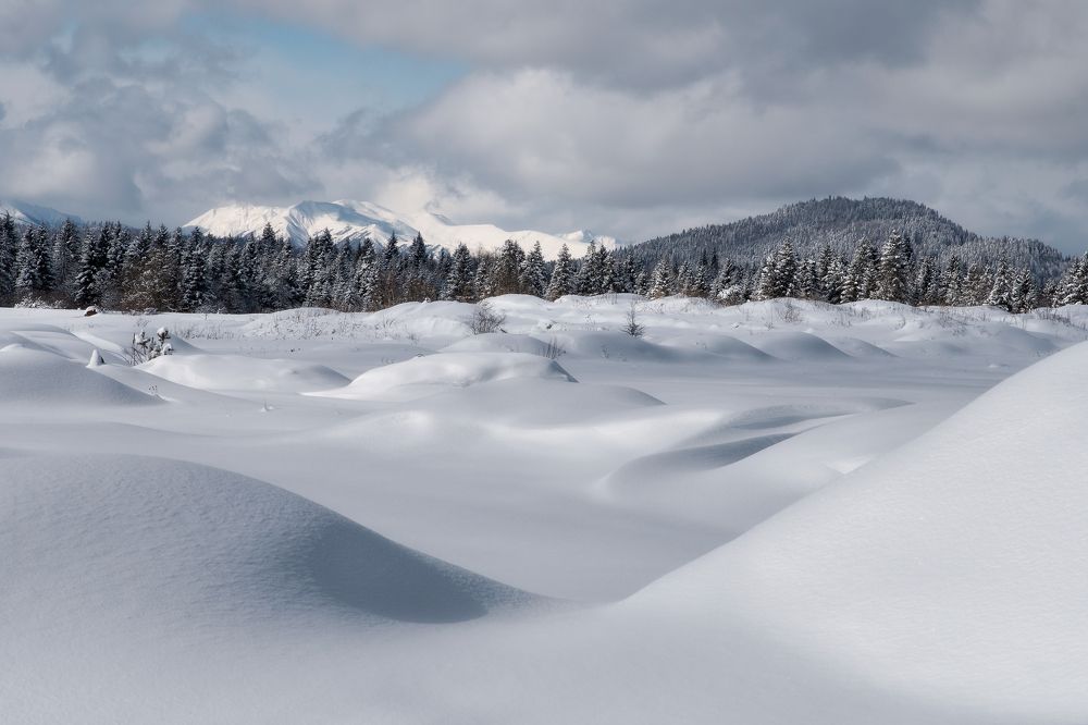 Photograph by PAPKIAURI TORNIKE