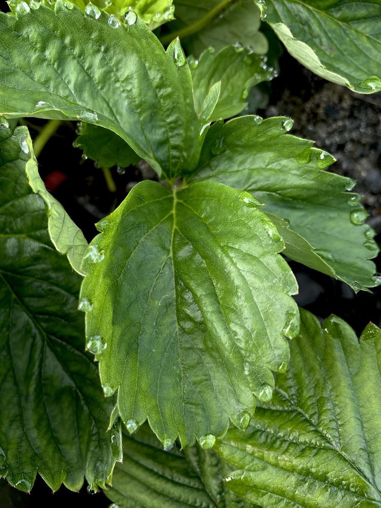 Photograph by Екатерина Максимова