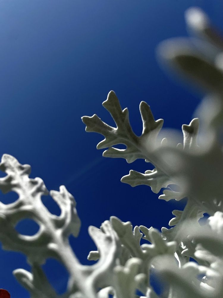 Photograph by Екатерина Максимова