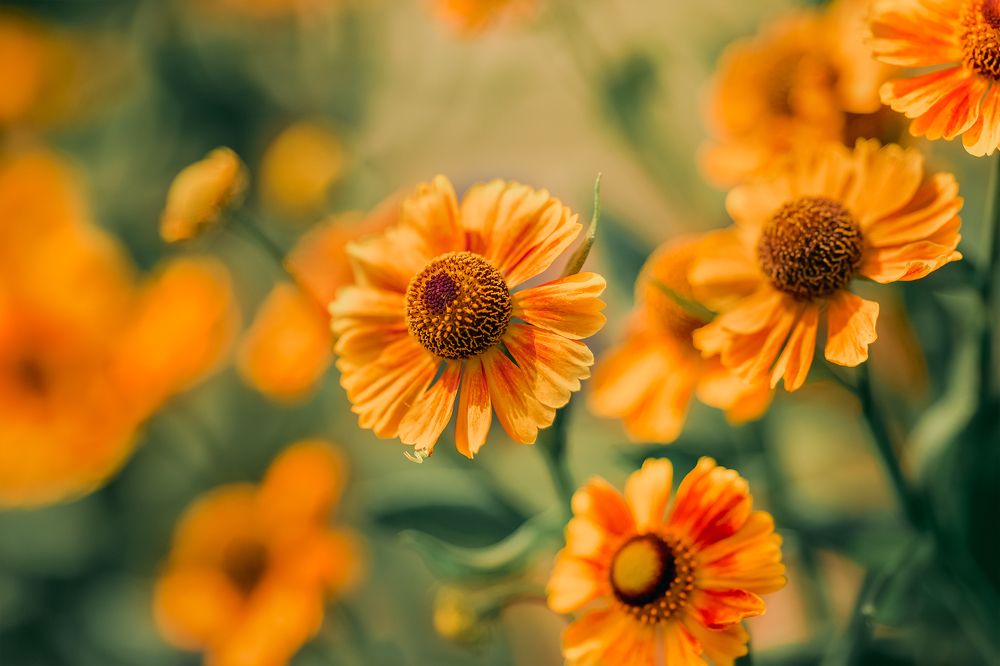 Photograph by Светлана Гущина