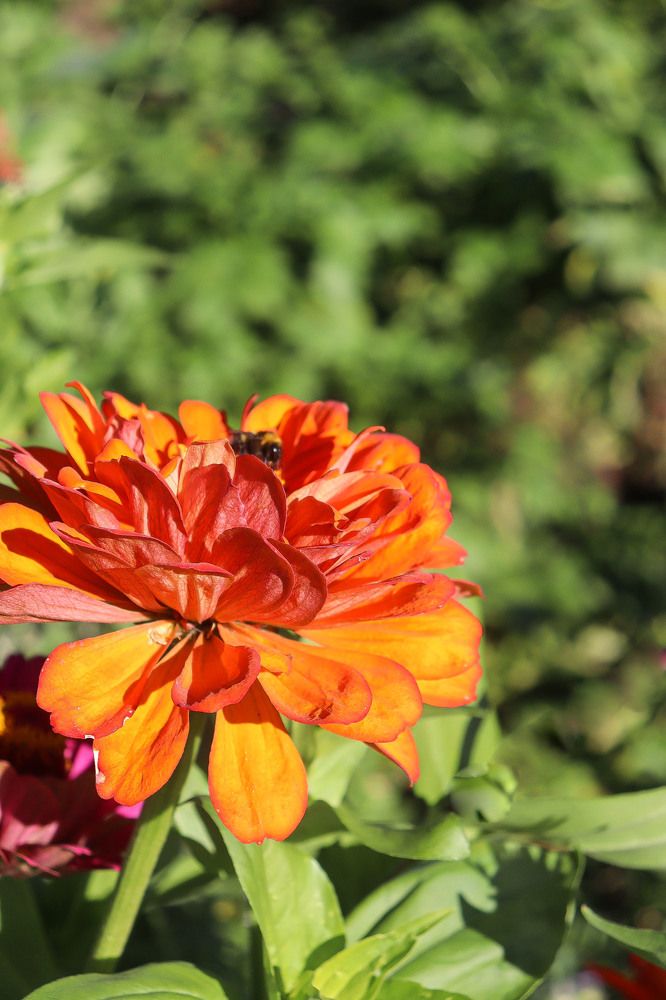 Photograph by Марина Тимонова