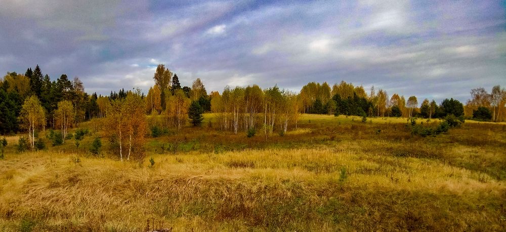 Photograph by Алёна Пшеленская