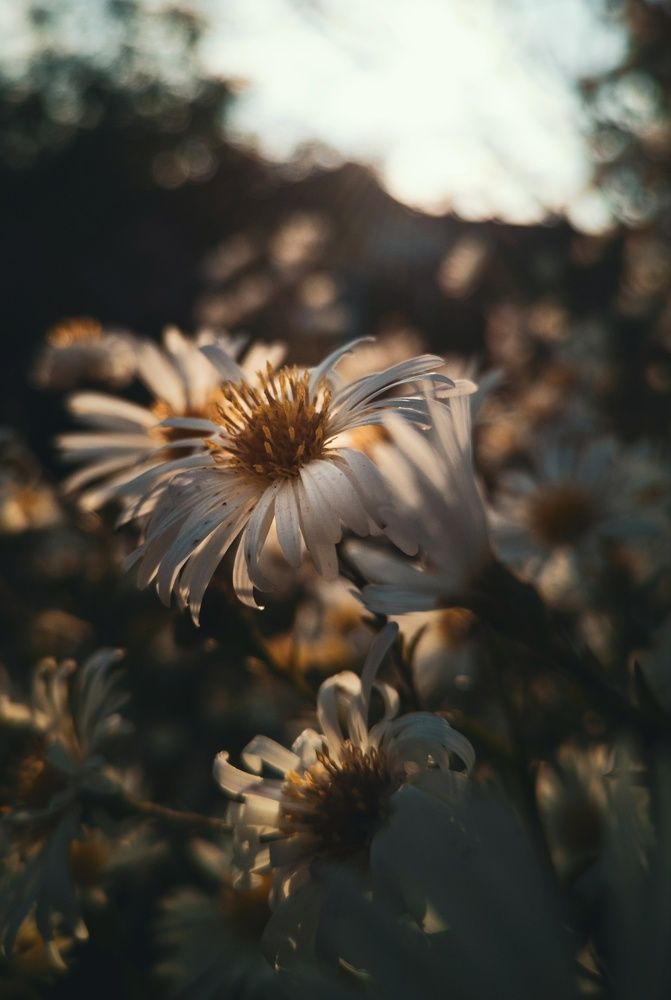 Фотография автора Геннадий Ломеко