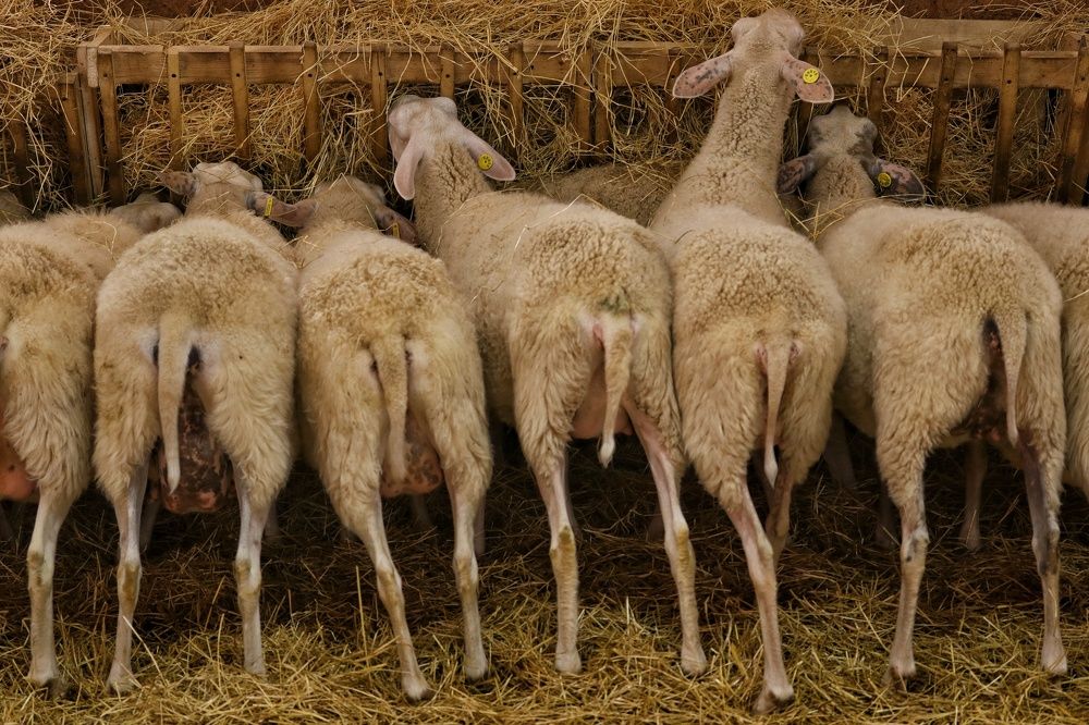 Photograph by Наталья Гайдукевич