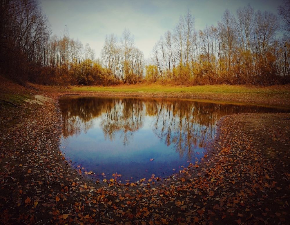 Photograph by Оксана Кабакова