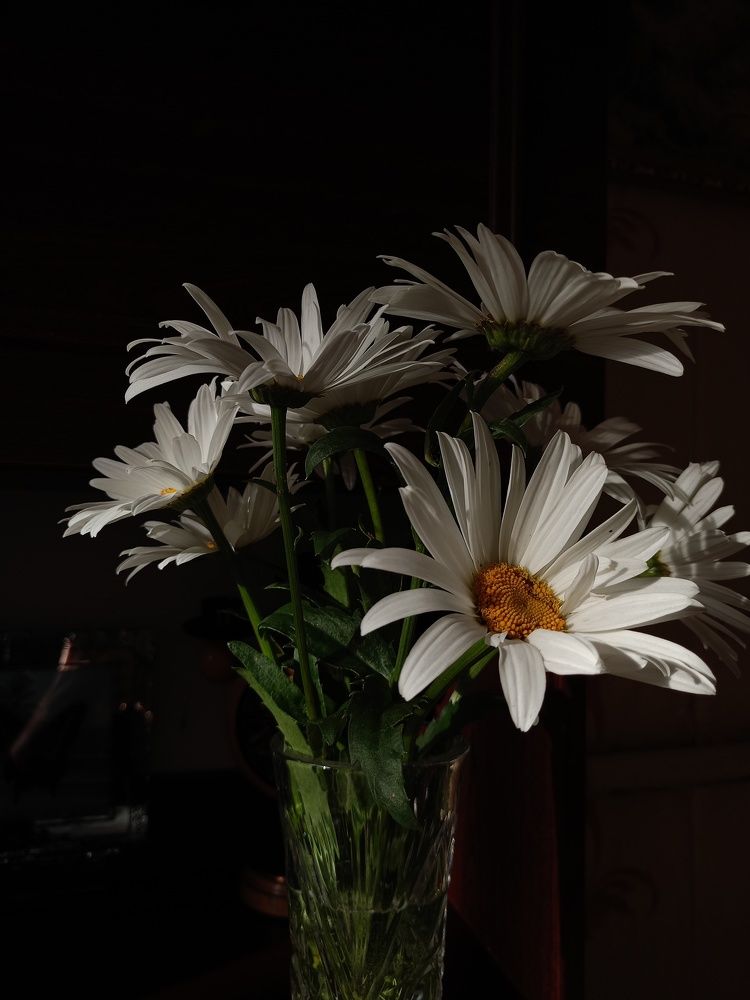 Photograph by Анна