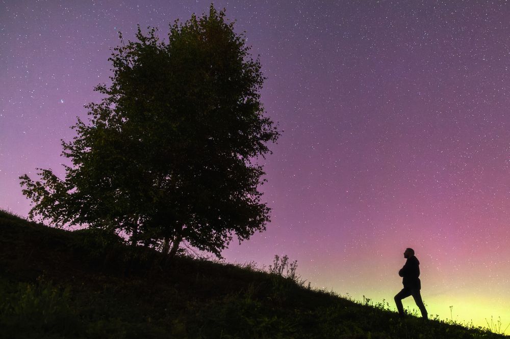 Photograph by Владимир Портуаров
