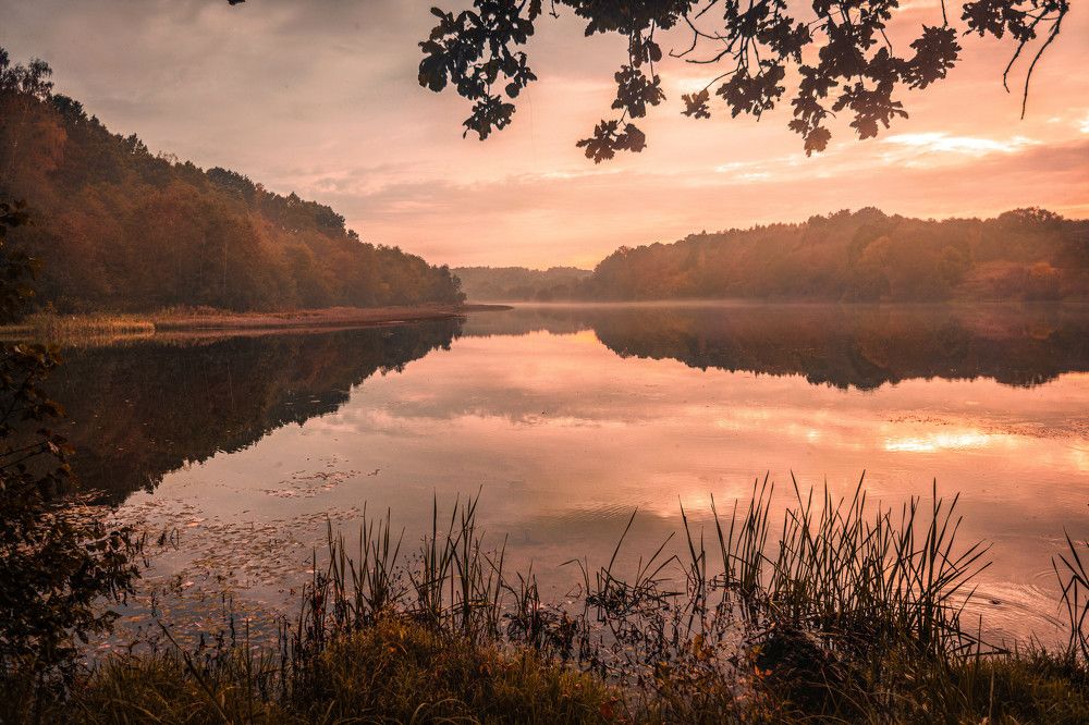 Photograph by Светлана Мнацаканянц