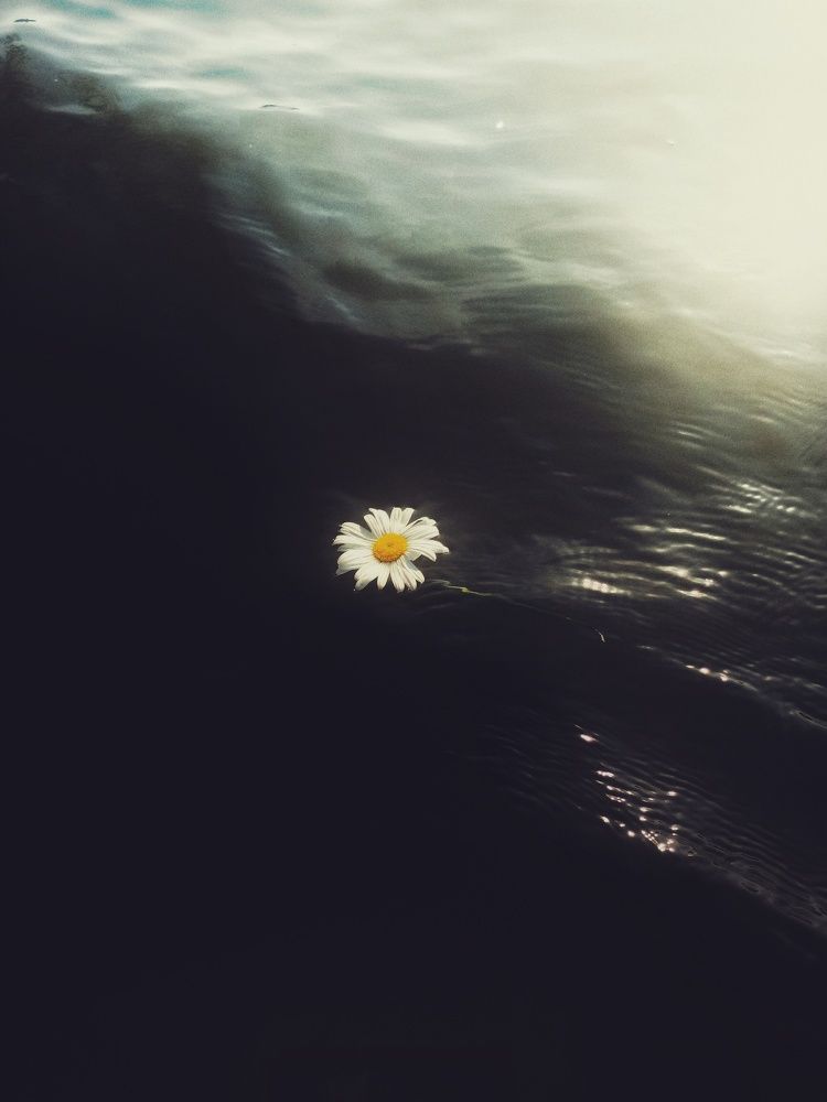 Photograph by Тимур Быков