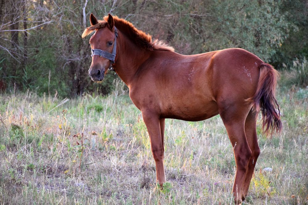 Photograph by  Татьяна Дорожко