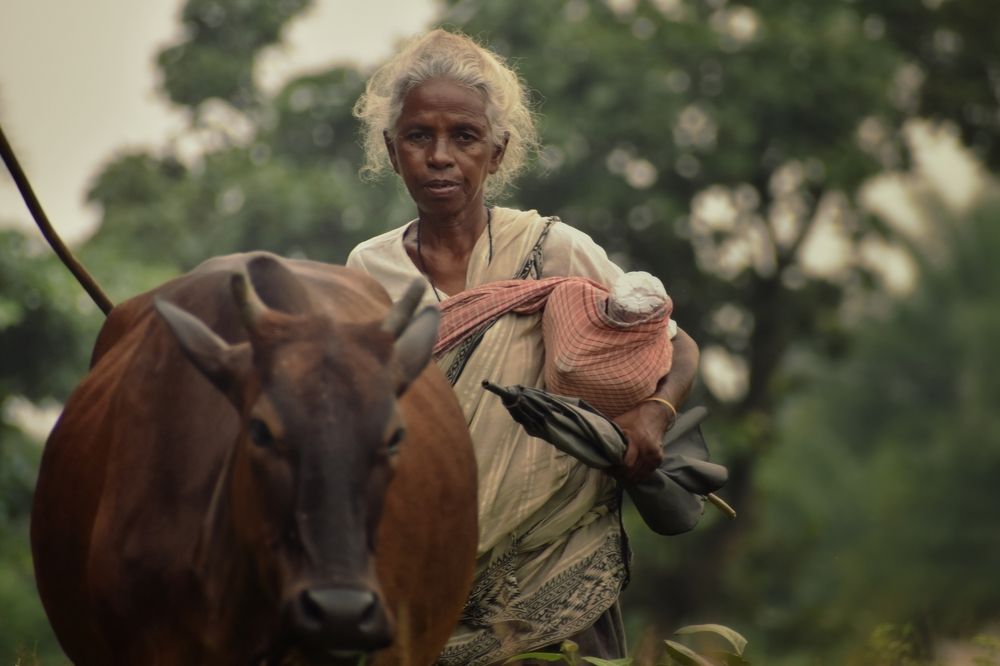 Фотография автора Subham Banerjee