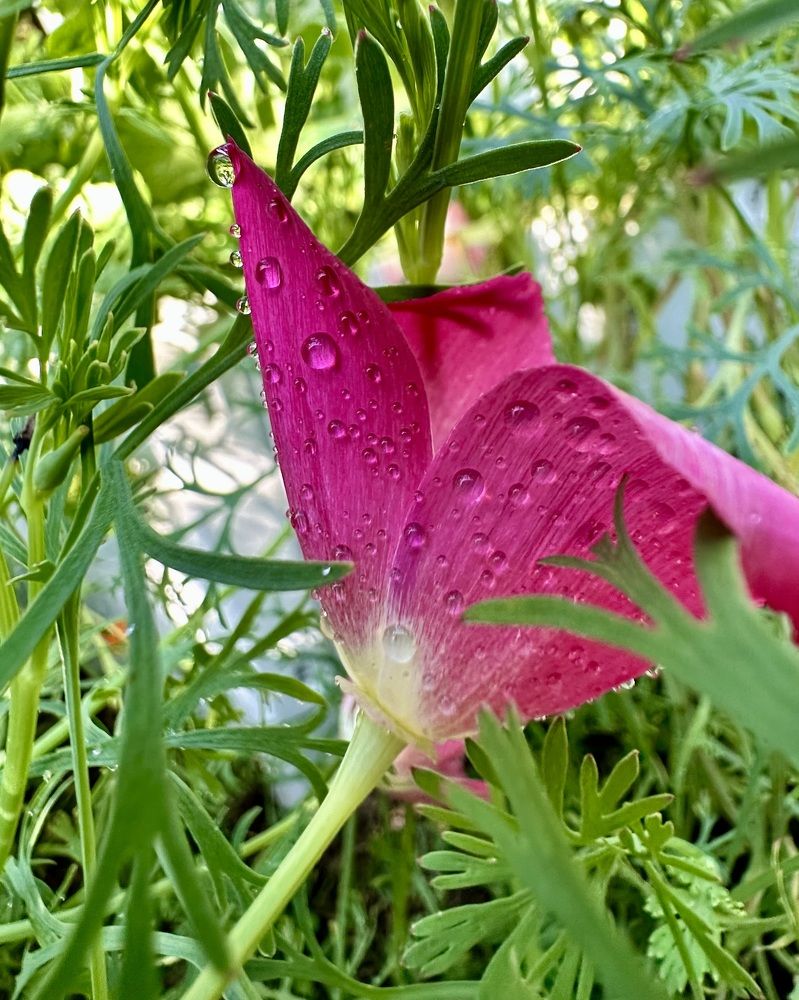 Photograph by Наталья Жигелис