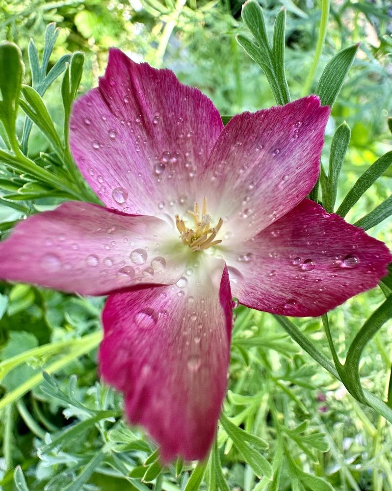 Photograph by Наталья Жигелис