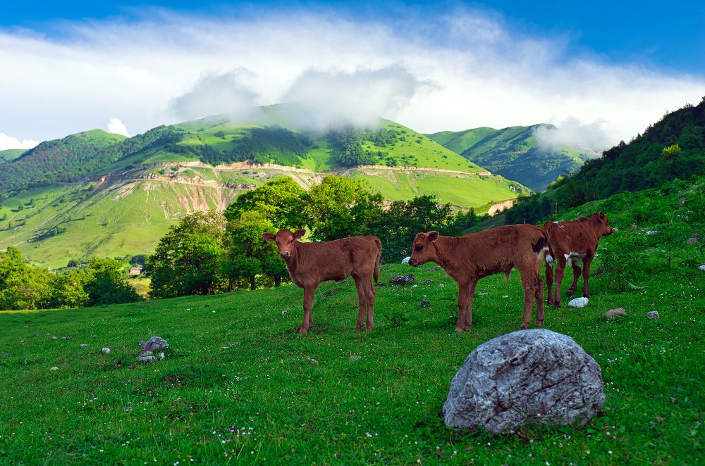Photograph by Алексей Верзун