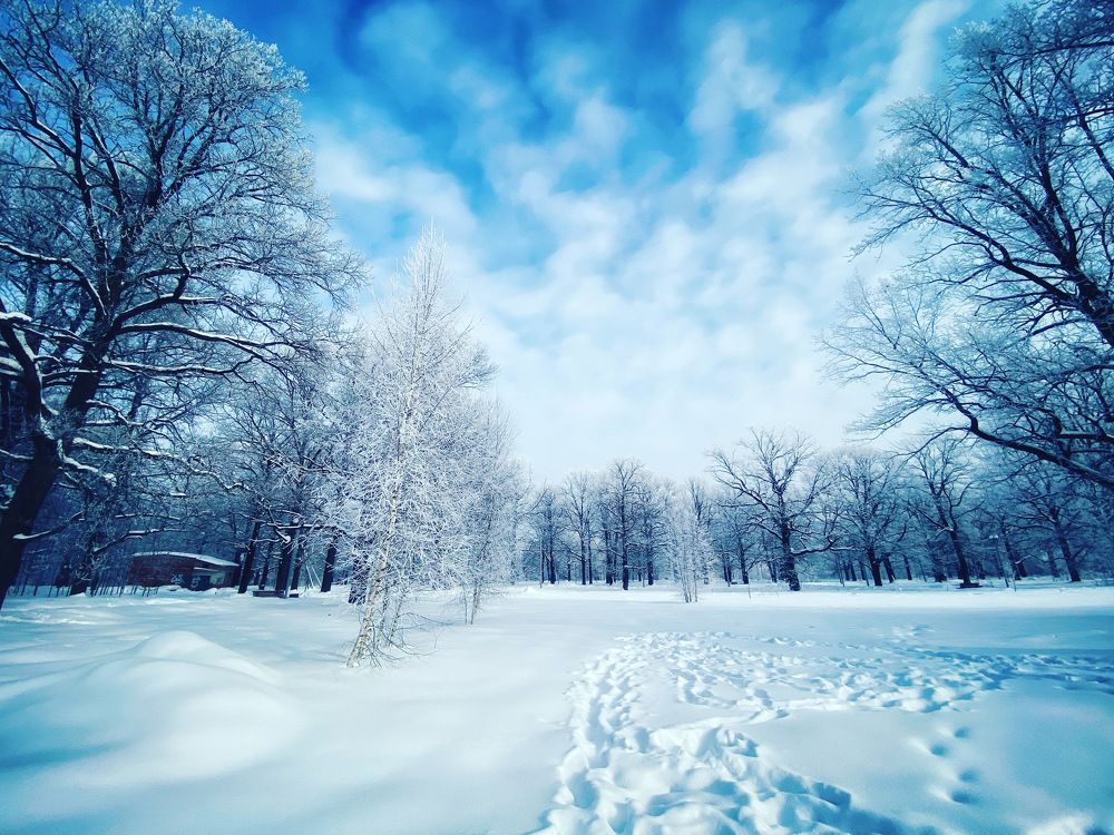 Photograph by Яна Лугинина