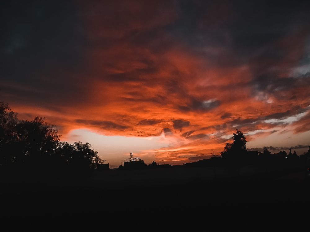 Photograph by Ziko Demmane