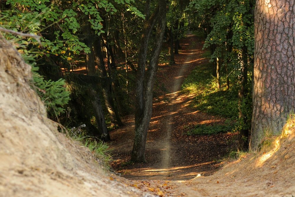 Photograph by Наталья Турбина