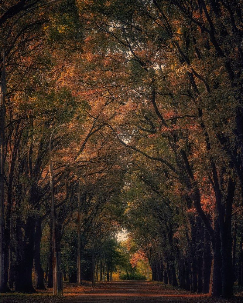 Photograph by Владимир Кульбит