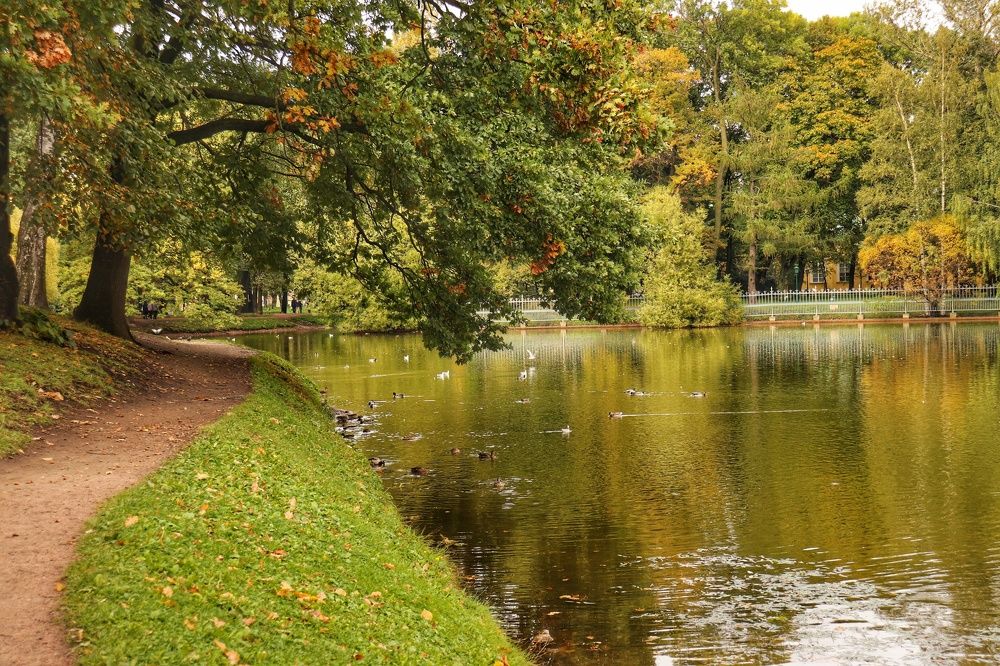 Photograph by Наталья Турбина