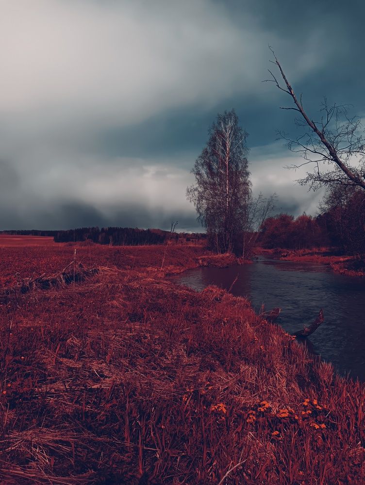 Photo #9585164