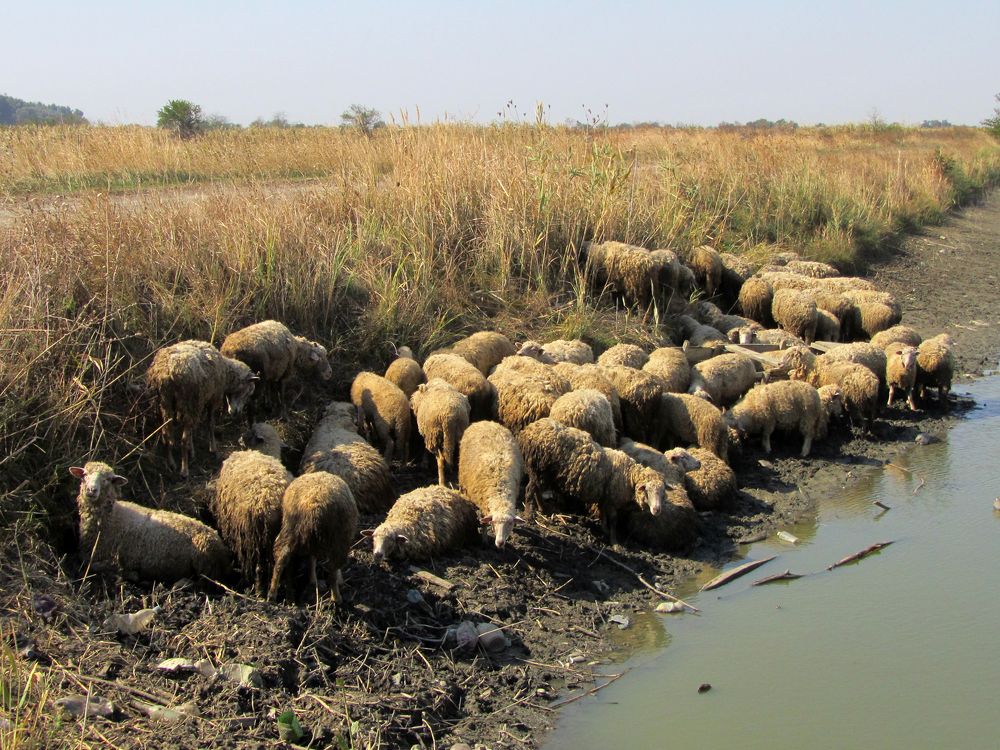 Photograph by Анастасия