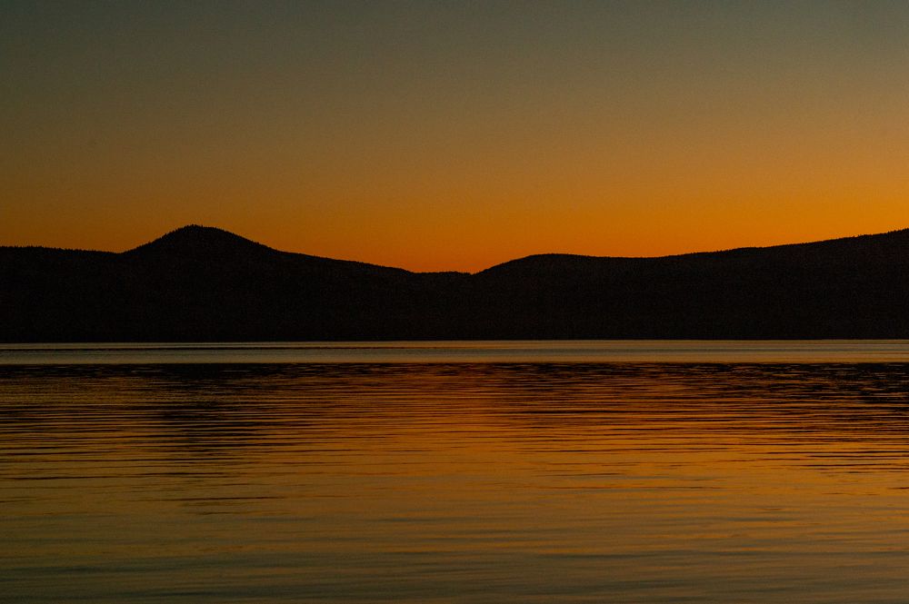 Photograph by Елена Куртеева