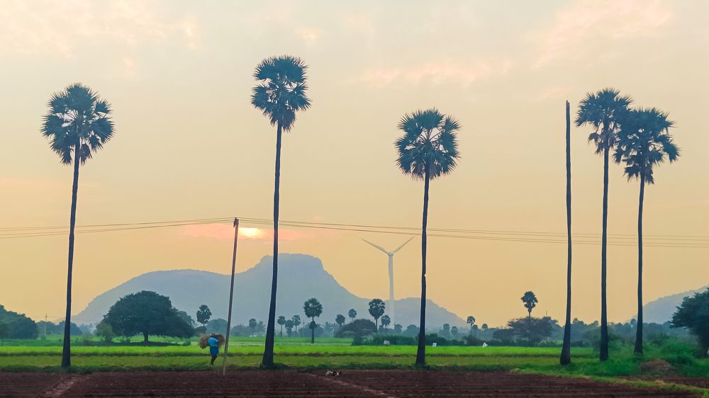 Photograph by Kavinkumar M