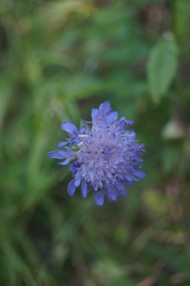 Photograph by Георгий Галкин